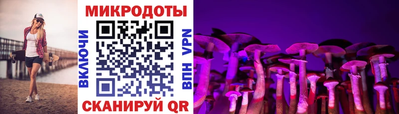 OMG ONION  Арсеньев  Псилоцибиновые грибы Magic Shrooms 